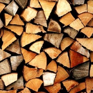 legno illegale